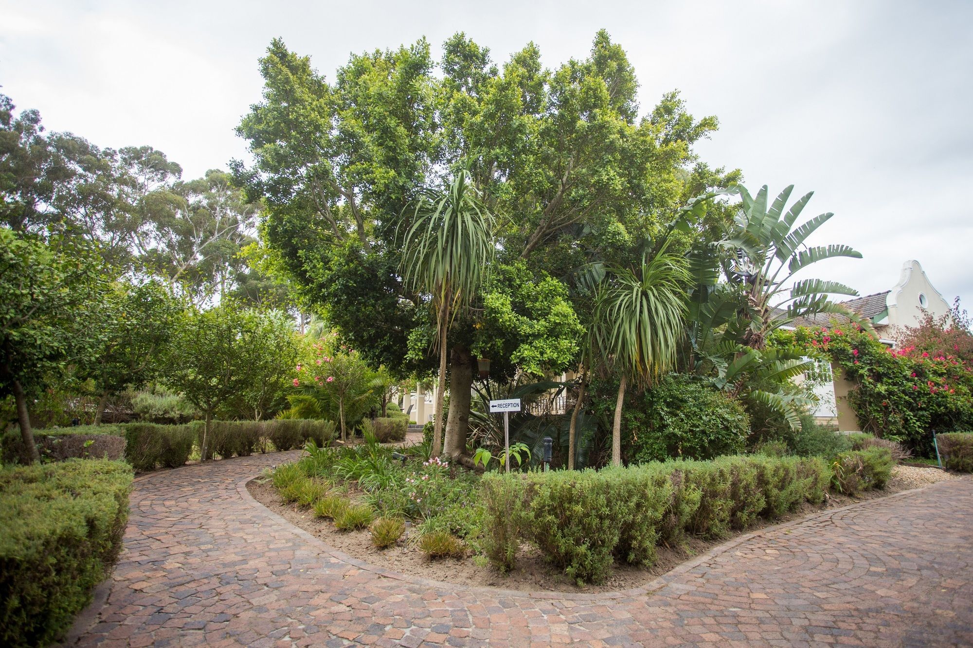 Somerset Villa Guesthouse غرب سومرست المظهر الخارجي الصورة