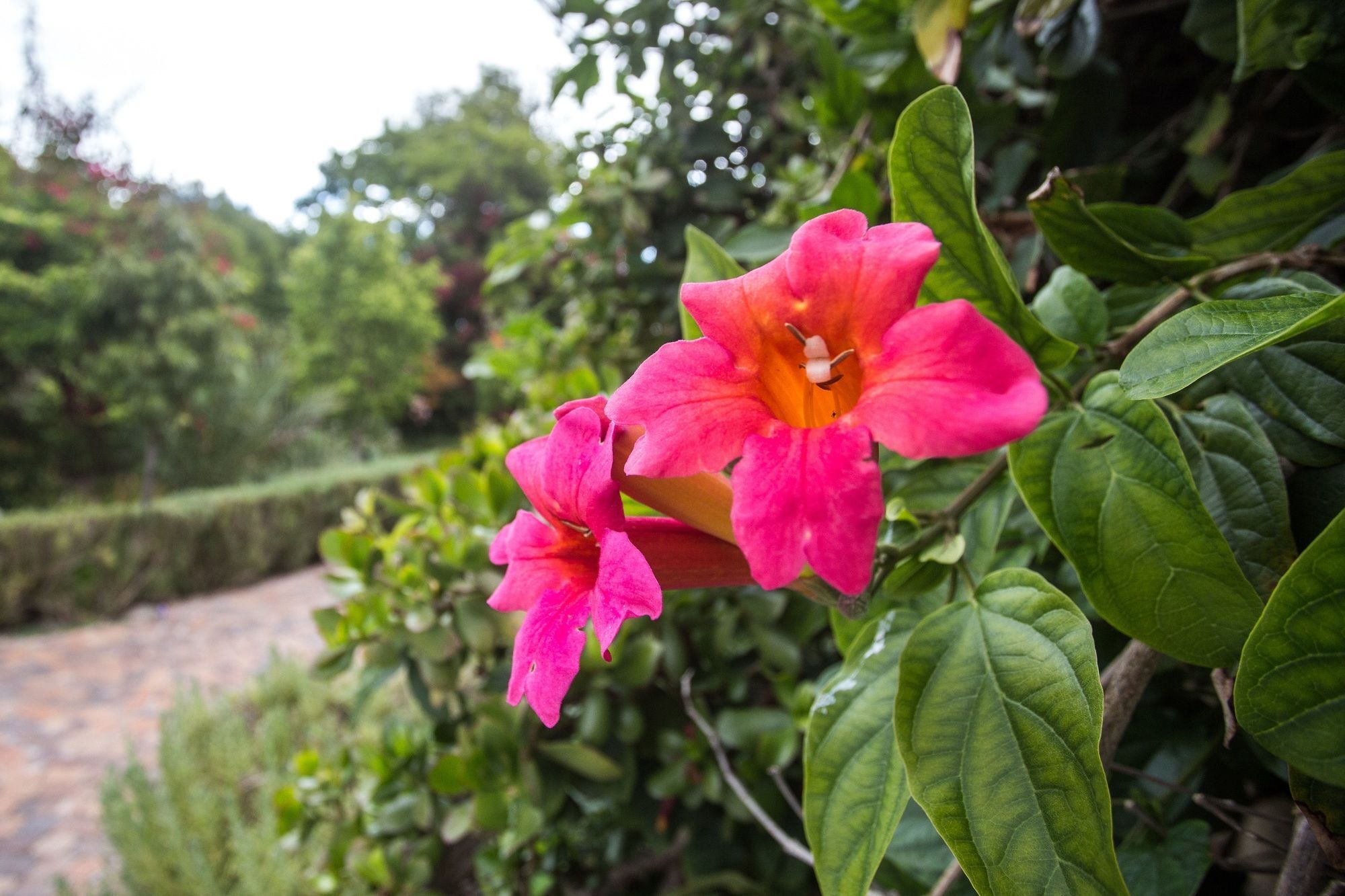 Somerset Villa Guesthouse غرب سومرست المظهر الخارجي الصورة